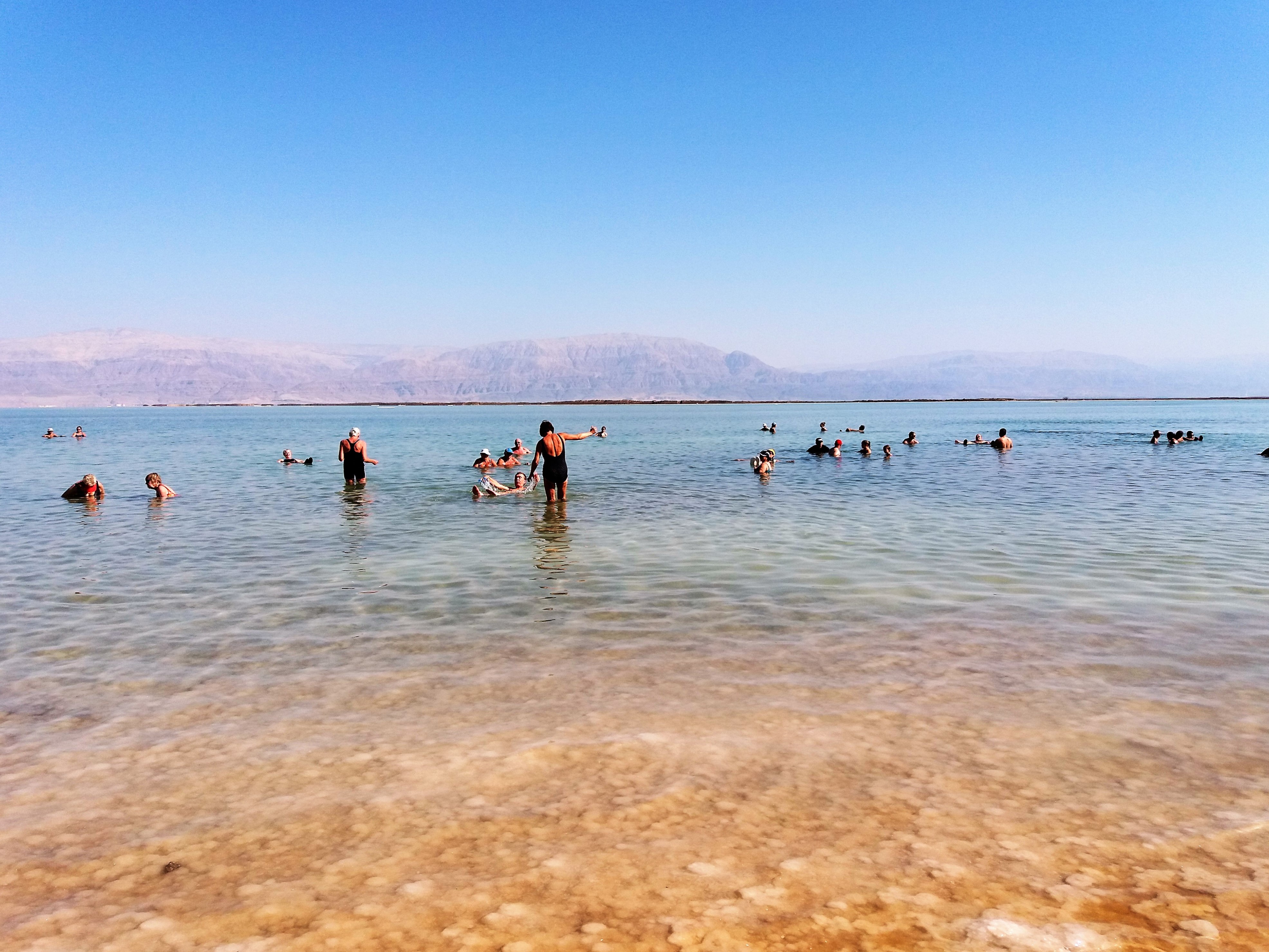 Dead sea ein gedi